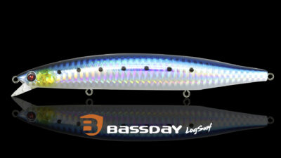 Bassday LogSurf Détail 1