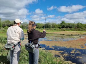 comment pêcher l'aimara