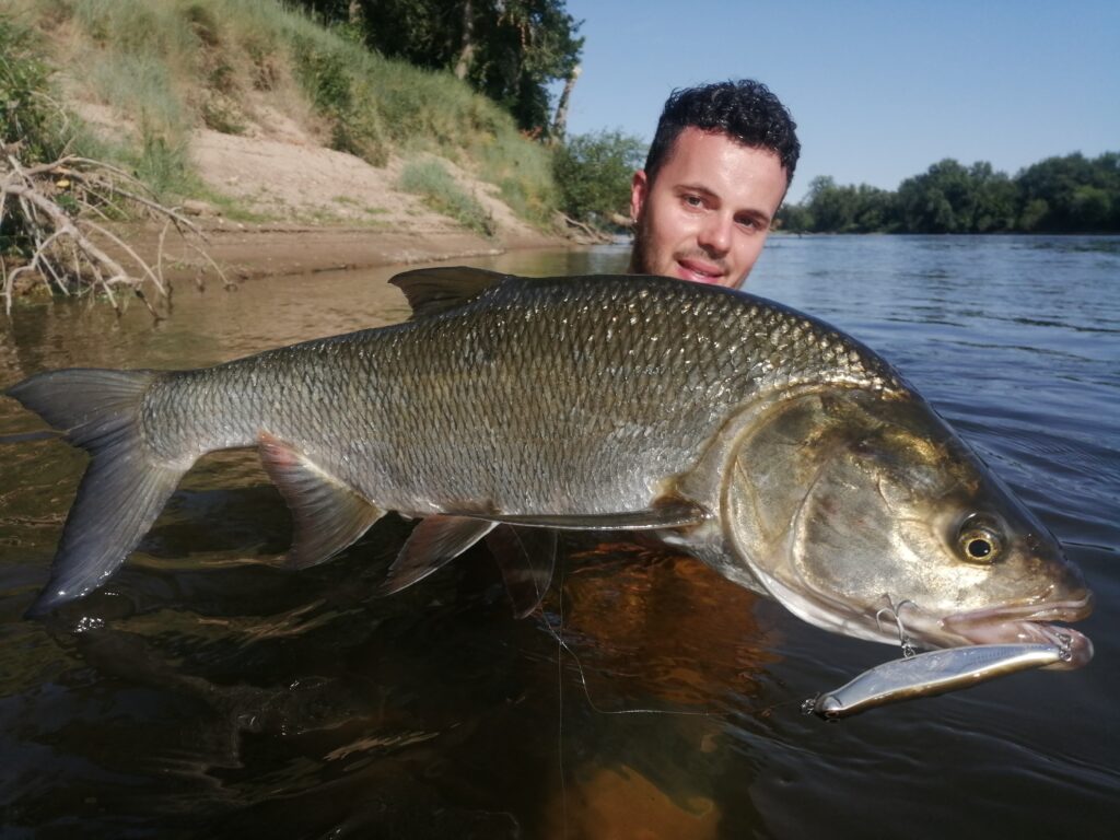 Aspe en kayak Photo 4 (1)