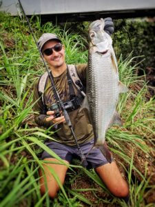 Baby tarpon Streetfishing Guadeloupe