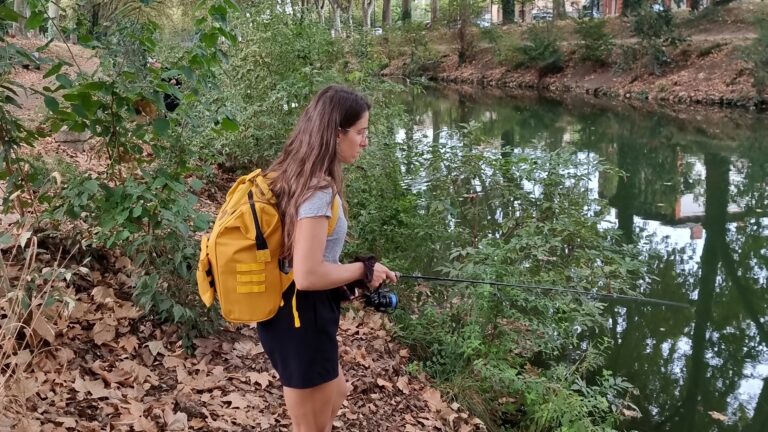 Pêche de fin d'été sur le canal du midi