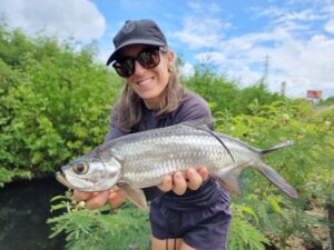 baby tarpon mathilde