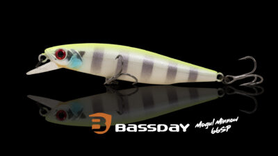 Bassday Mogul Minnow 66 SP Detail 1