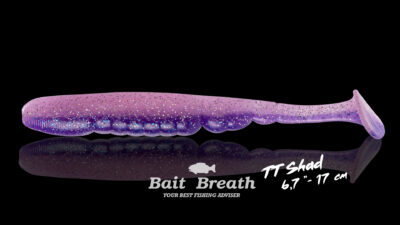 Bait Breath Détail 1 TTShad 6.7