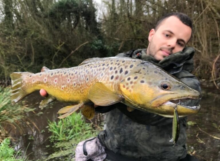 Traque de la truite en petite rivière