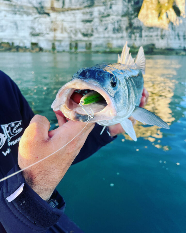 Pêche aux leurres en mer : quelles puissances et longueurs de