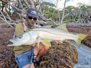 Pêche du snook du bord en Martinique