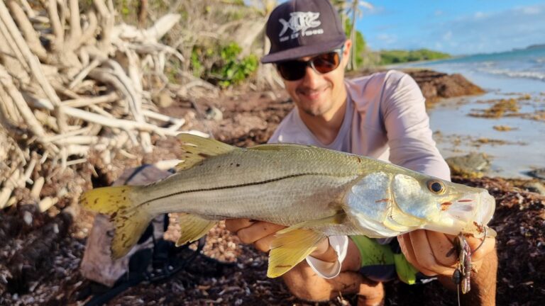 Pêche du bord en Martinique