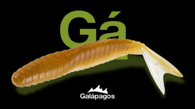 Galapagos Zegrashad Vignette 1