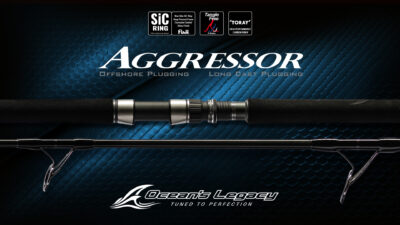 Agressor détail 1