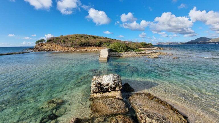 Pêche du bord multi-espèces à Saint-Martin