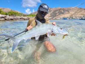 Bonefish du bord à Saint-Martin.