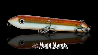 Madd Mantis Plank 159 détail 1