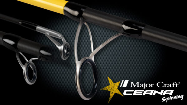 CEANA – Image 7