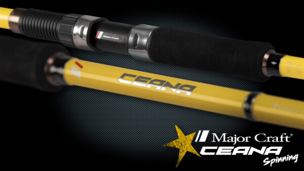 CEANA – Image 6