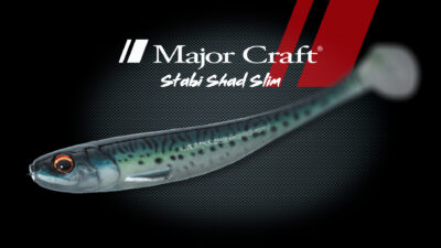 Majorcraft Stasbi Shad Slim Detail 1