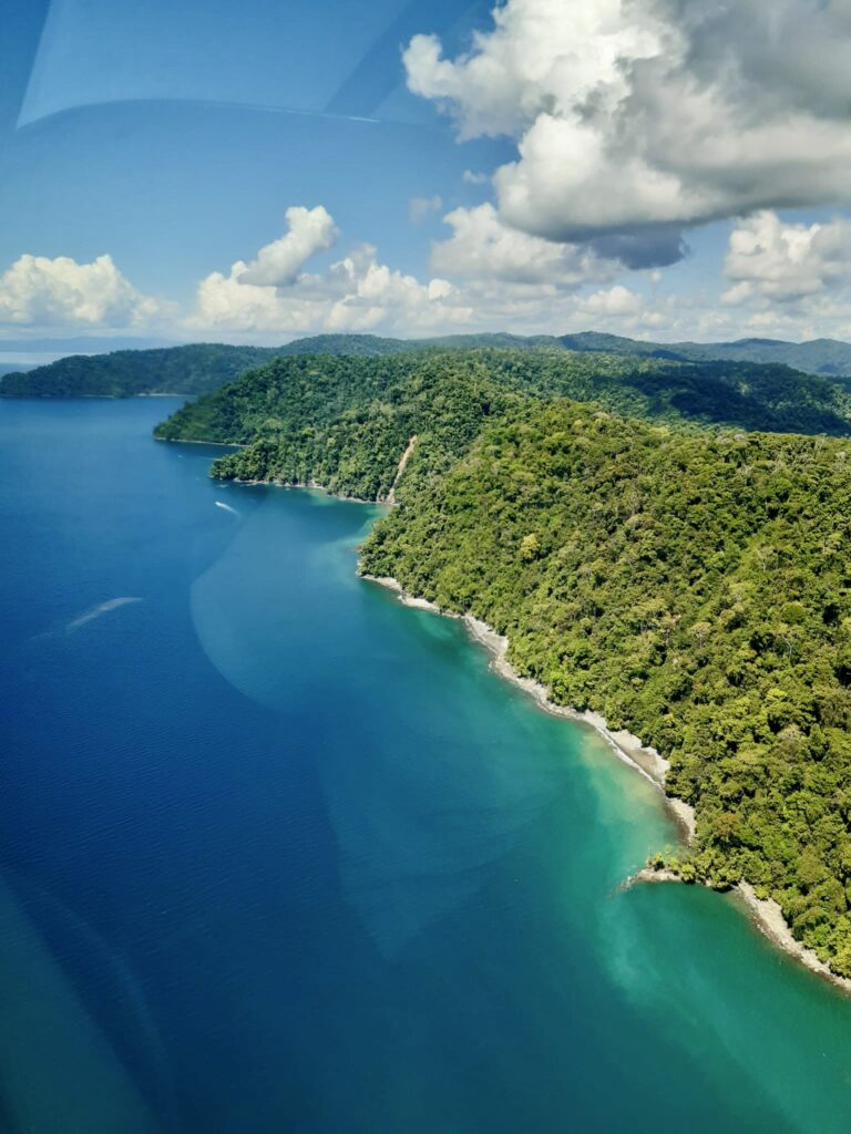 Un voyage de pêche inoubliable à Golfito, Costa Rica