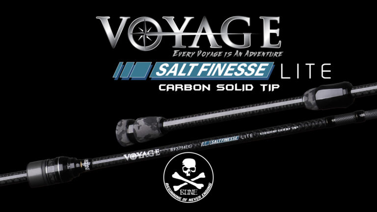 Voyage Salt Finess Lite