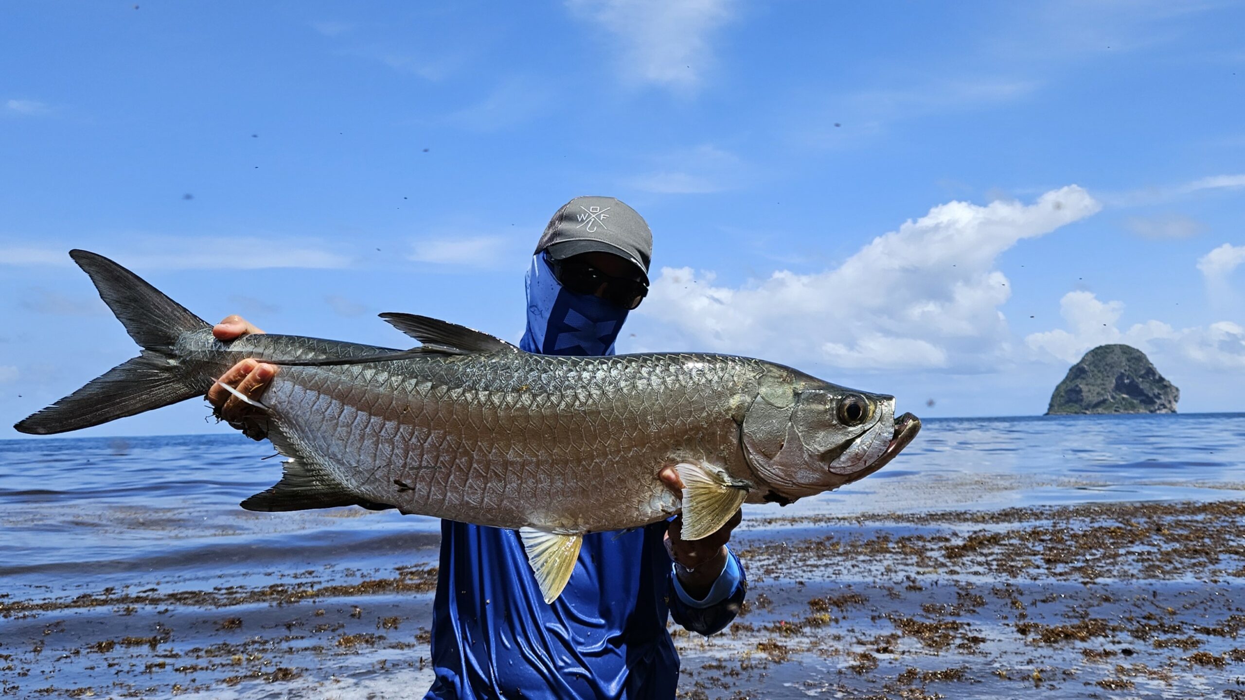 Fish Martinque Pêche en Martinique (2ème voyage) - Way Of Fishing