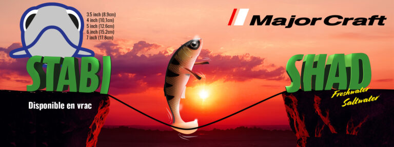 Bandeu Stabi Shad SIte copie Stabi Shad Major Craft : le leurre souple qui a réécrit les règles du shad technique