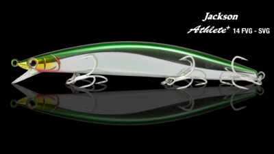 Artist 14 FVG-SVG detail 1