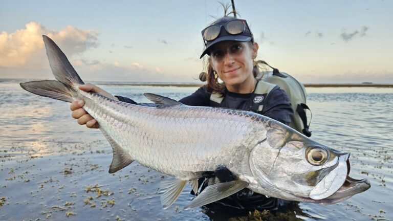 Matériel de pêche pour la Guadeloupe : le guide de l'exo light.