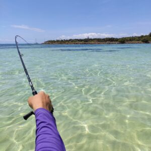 Pecher en exolight dans les caraïbes. Pêche dans les caraïbes