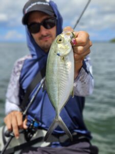 pêche carangue guadeloupe