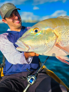 Bone Drago Casting Bone Drago Casting