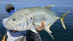 Bone Drago Casting une canne puissante Bone Drago Casting une canne puissante