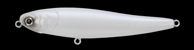 Chihuahua 110 2025