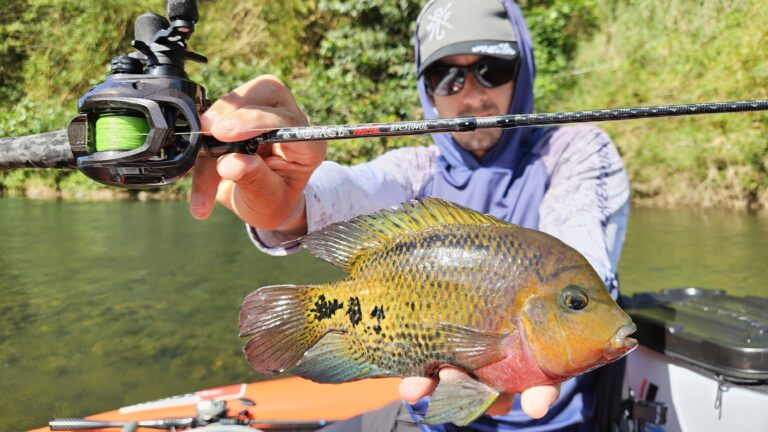 Pêche ultra légère dans les rivières de Guadeloupe