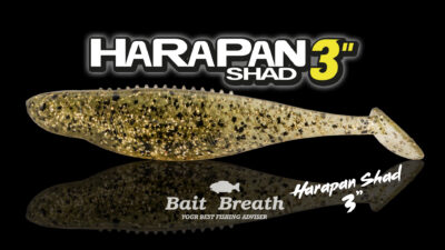 Harapan Shad 3 Détail 1