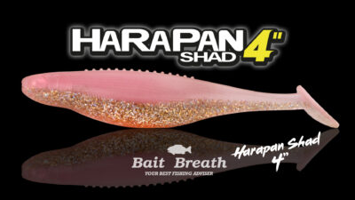 Harapan Shad 4 Détail 1