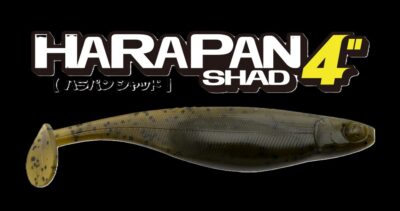 harapan toppop