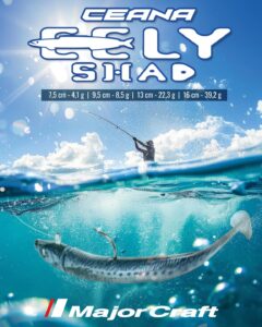 Eely Shad Majorcraft Eely Shad Major Craft