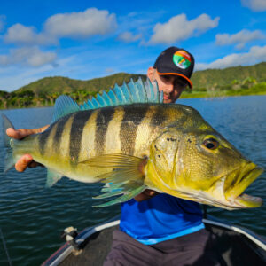 Peacock Bass Bleu 3 Peacock Bass Bleu 3