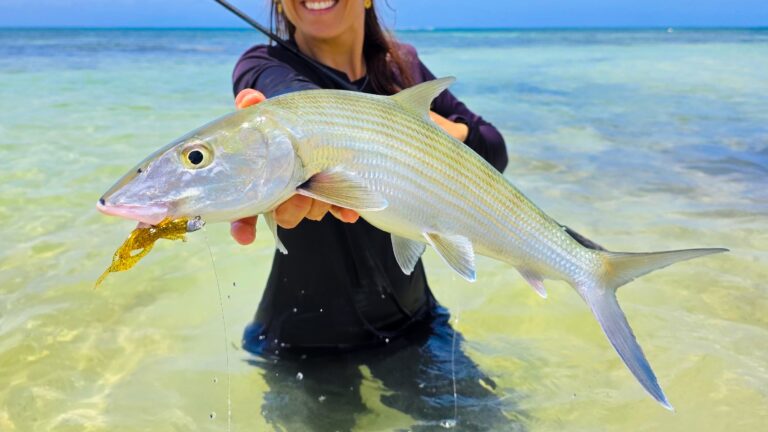 Les leurres souples FishUp se font une place sous les tropiques.