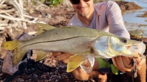 Leurres FishUp Shrimp (2)