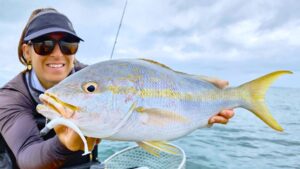 Leurres FishUp U-Shad (2)