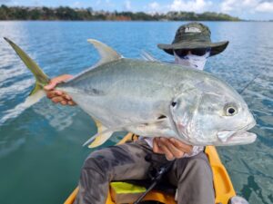 Leurres FishUp U-Shad