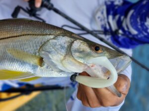 Leurres FishUp Wizzle Shad