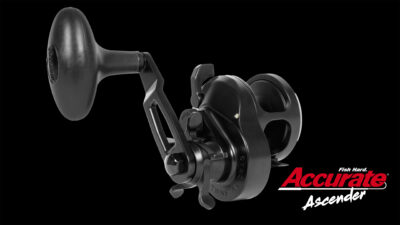 Accurate Ascender Détail 1