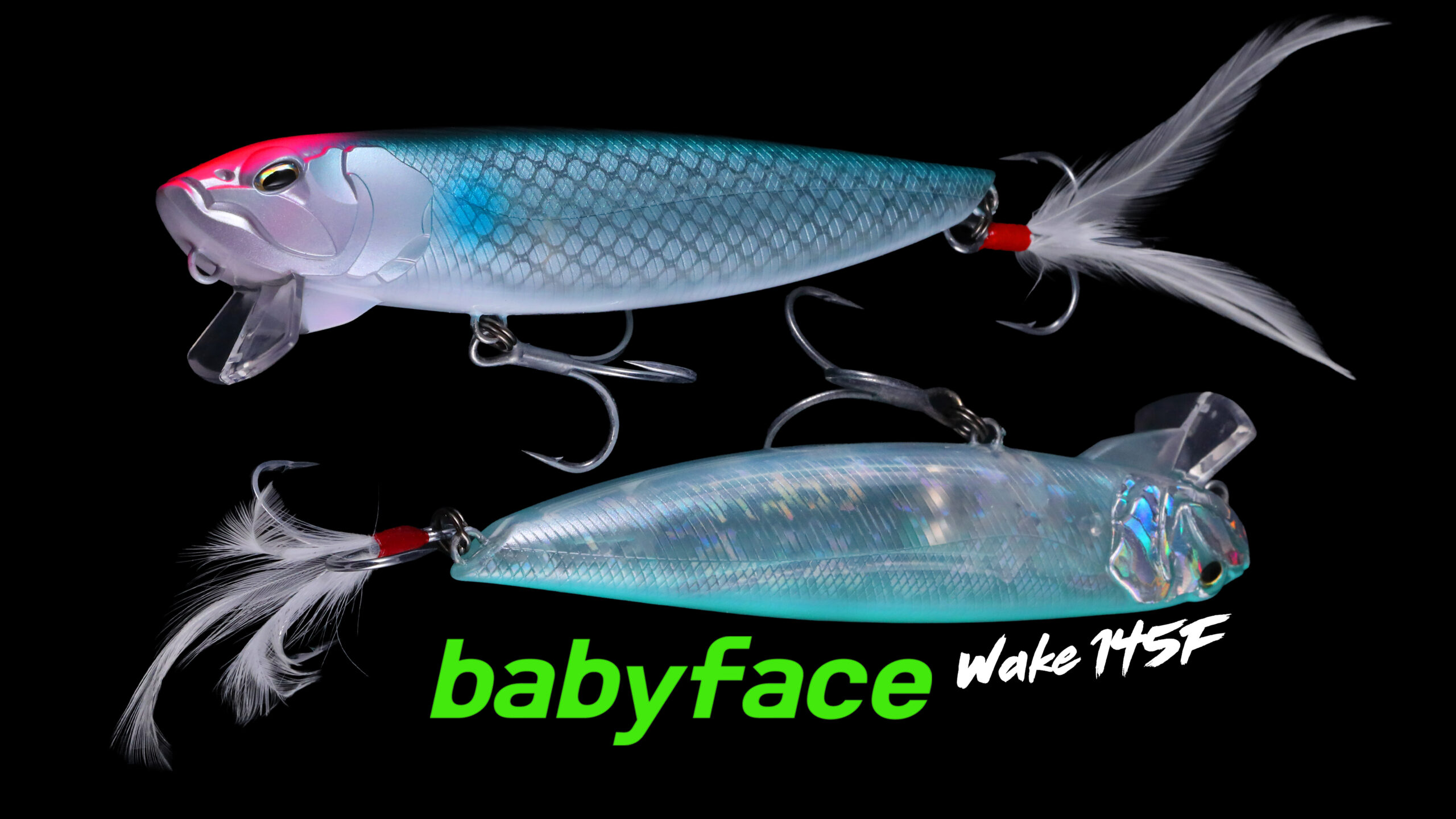 WAKE145-F – Image 2