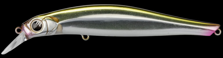 Artist FR105