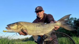 Aspe jackson debu nyoro 120 Armature traversante 2 Aspe jackson debu nyoro 120 Armature traversante 2