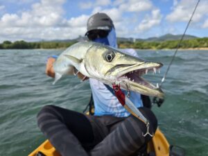 Barracuda jackson artist 105 armature traversante Barracuda jackson artist 105 armature traversante