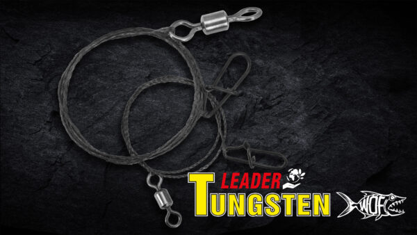 Tungstène LEADERS – Image 2