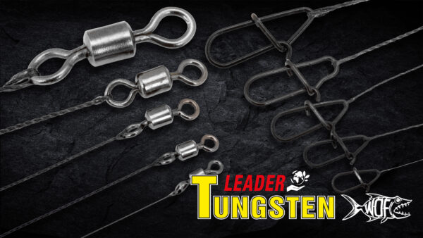Tungstène LEADERS – Image 3