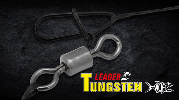 Tungstène LEADERS – Image 4